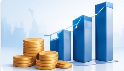 Finance & Accounting